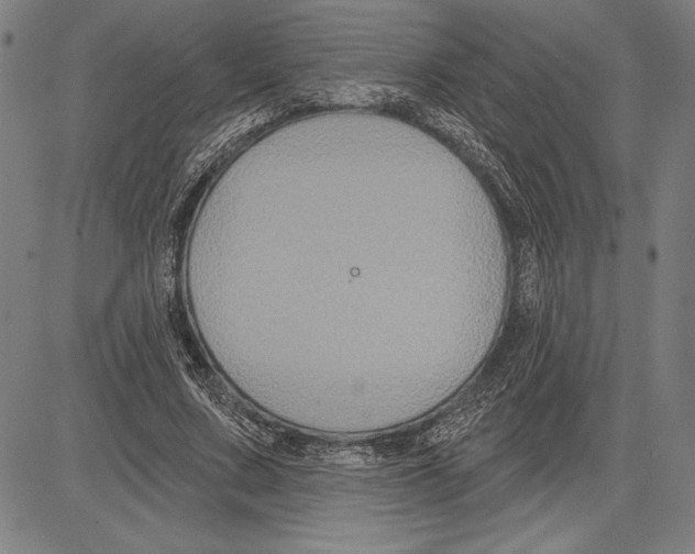 X0000081620683200702121640
