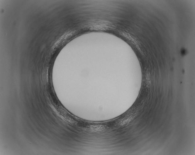 X0000081620686200702121640