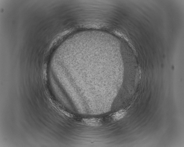 X0000081620688200702121640