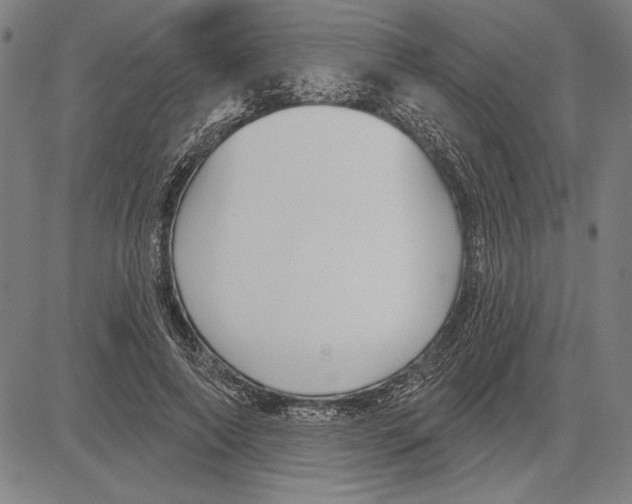 X0000081620690200702121640