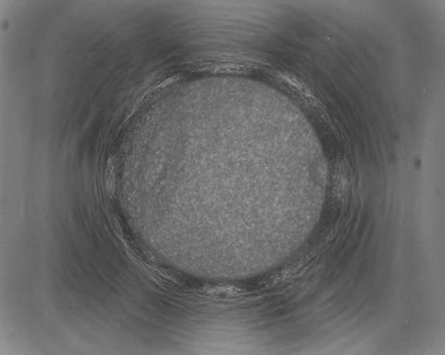 X0000081620695200702121640