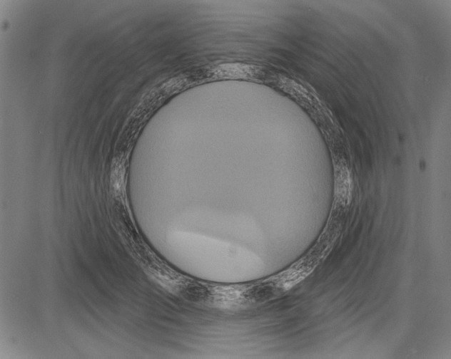 X0000081620701200702121640