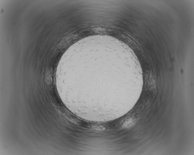 X0000081620702200702121640
