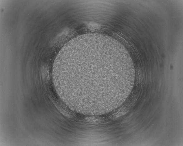 X0000081620703200702121640