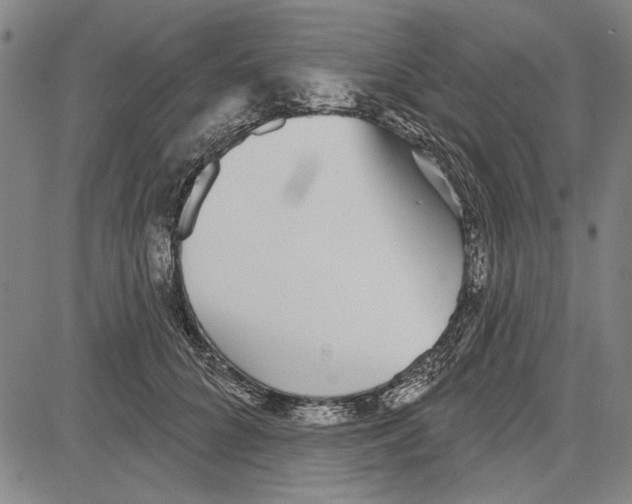 X0000081620704200702121640