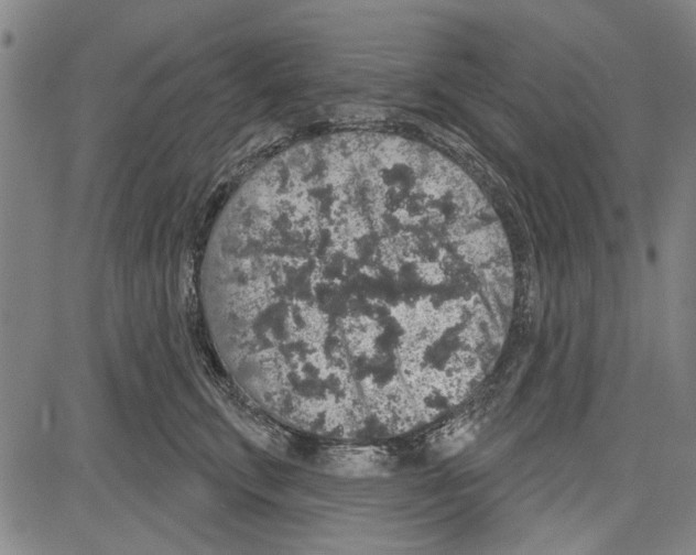 X0000081620711200702121640
