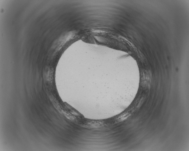 X0000081620712200702121640