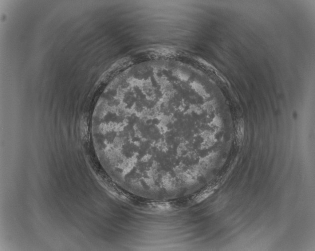 X0000081620715200702121640