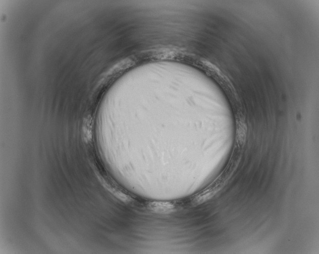 X0000081620719200702121640
