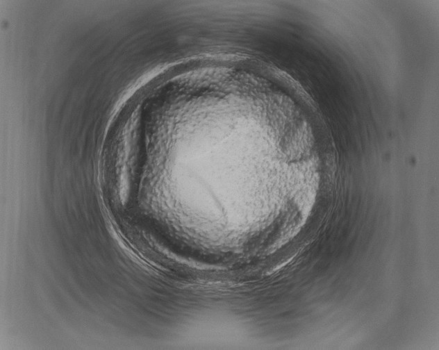 X0000081620726200702121639