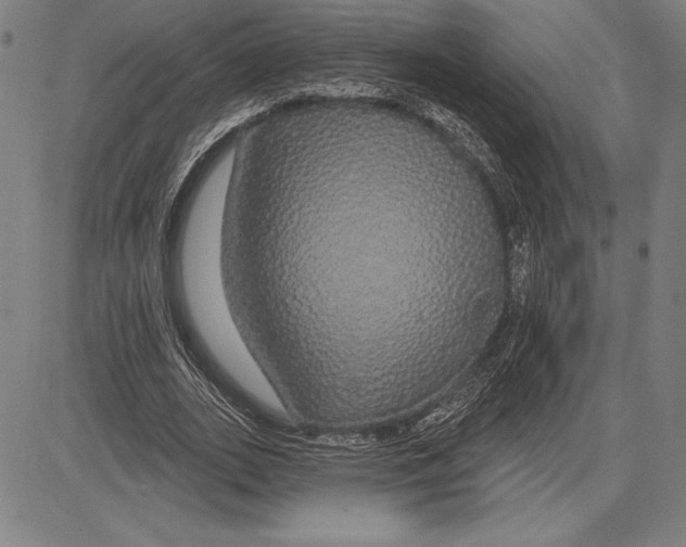 X0000081620727200702121639