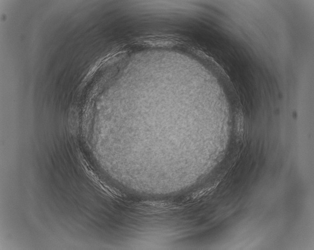 X0000081620733200702121639