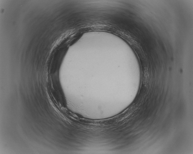 X0000081620734200702121639