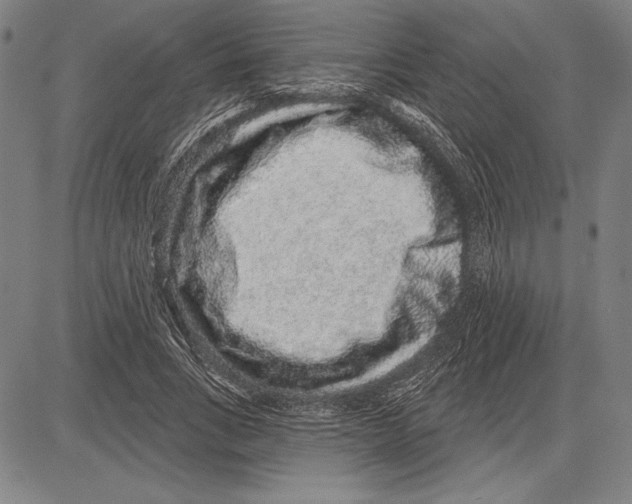 X0000081620735200702121639