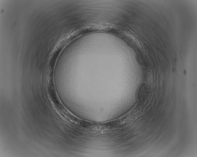 X0000081620736200702121639
