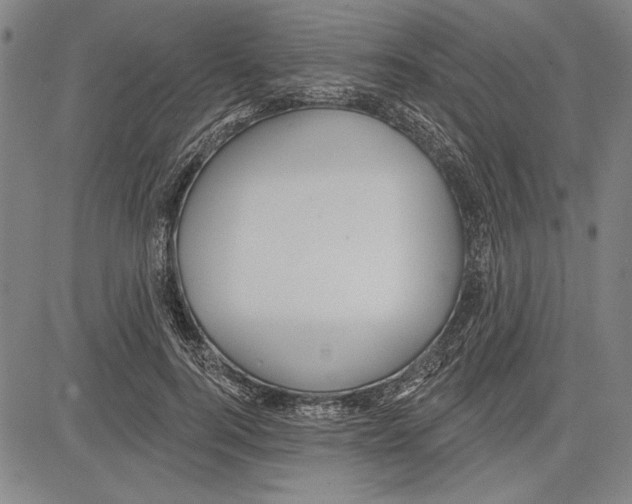 X0000081620744200702121639