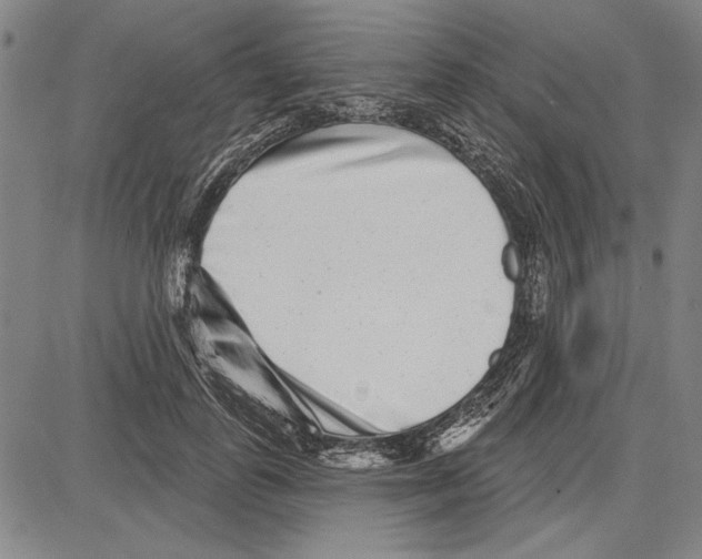 X0000081620747200702121639