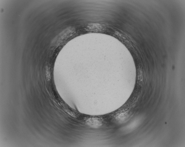 X0000081620751200702121639