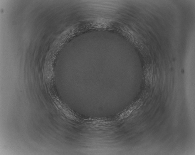 X0000081620769200702121639