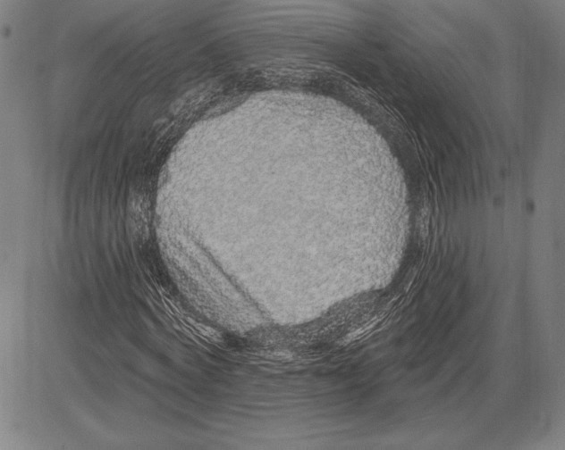 X0000081620772200702121639