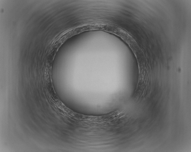 X0000081620773200702121639