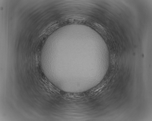 X0000081620774200702121639