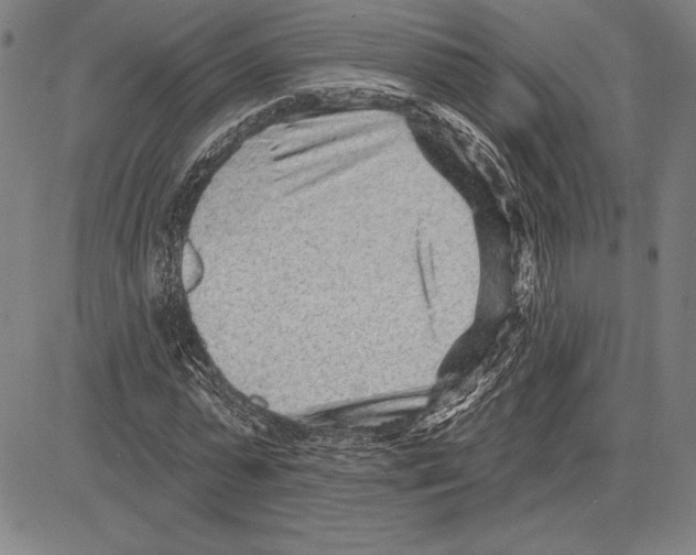 X0000081620775200702121639