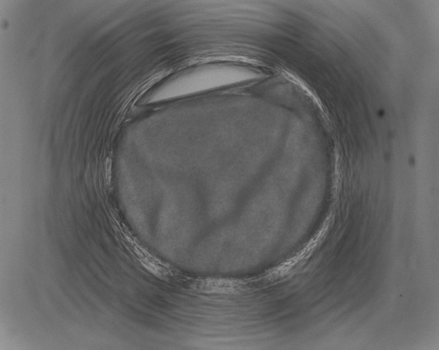 X0000081620777200702121639