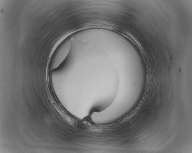 X0000081620788200702121638