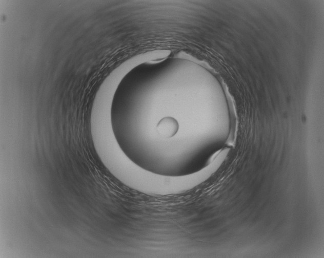 X0000081620818200702121637