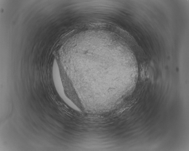 X0000081620819200702121637