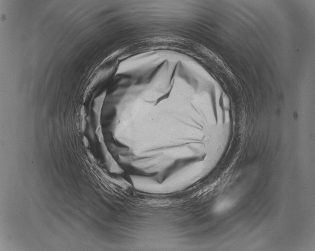 X0000081620825200702121637