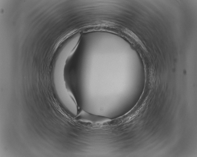 X0000081620826200702121637