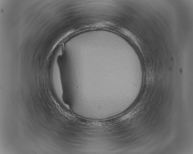 X0000081620827200702121637