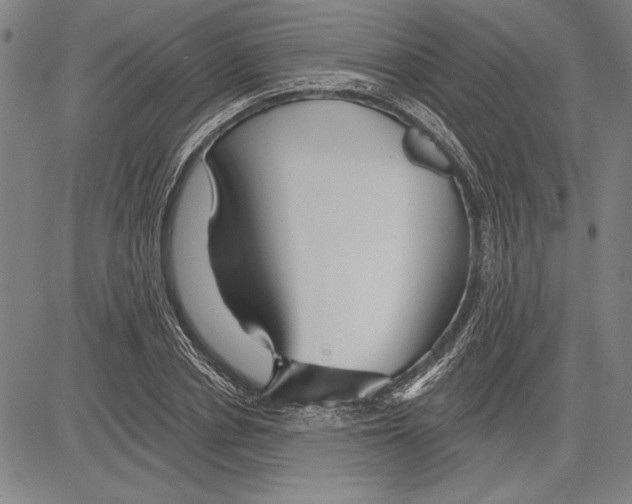 X0000081620834200702121637