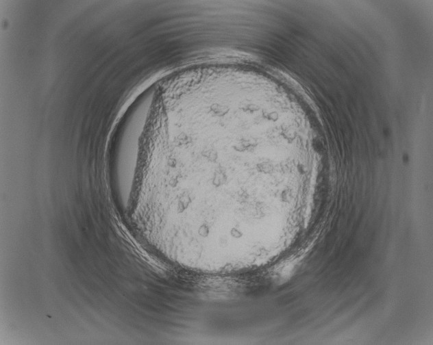 X0000081620835200702121637