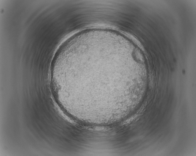 X0000081620839200702121638