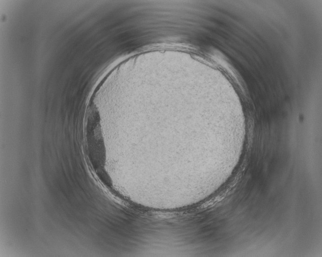 X0000081620852200702121638