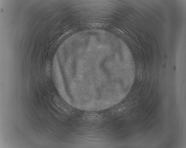 X0000081620866200702121637