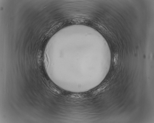 X0000081620867200702121637