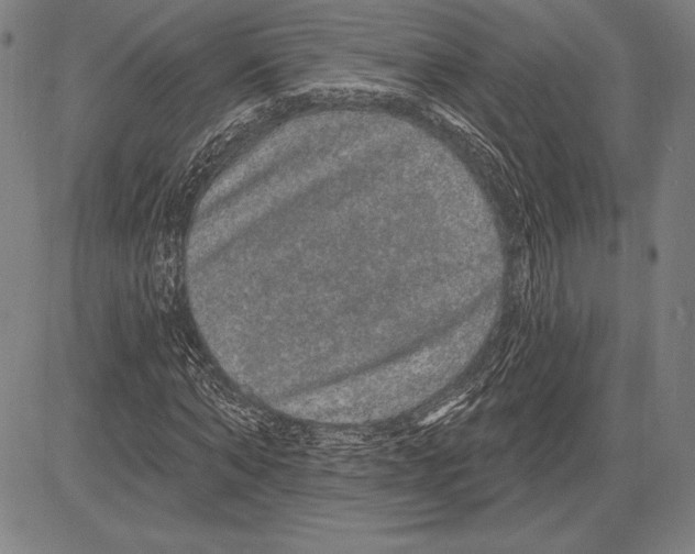 X0000081620870200702121637