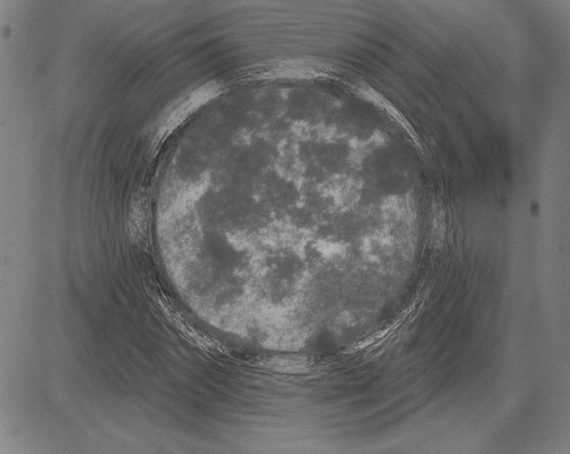 X0000081620874200702121637