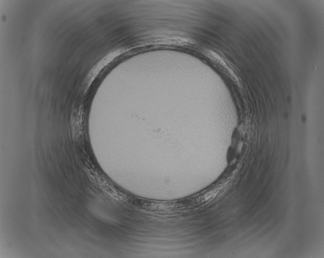 X0000081620875200702121637