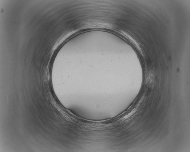 X0000081620885200702121637