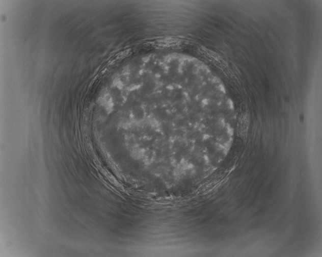 X0000081620913200702121636