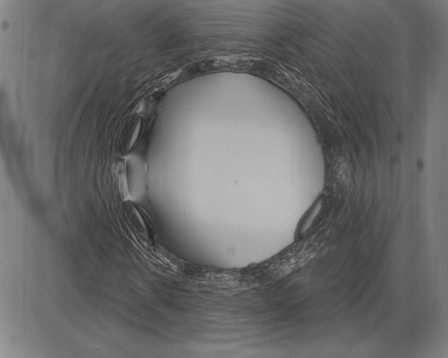 X0000081620914200702121636