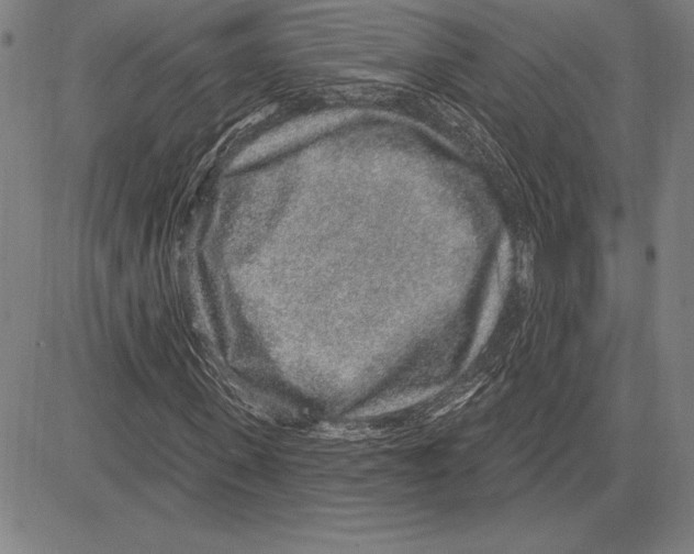 X0000081620915200702121636