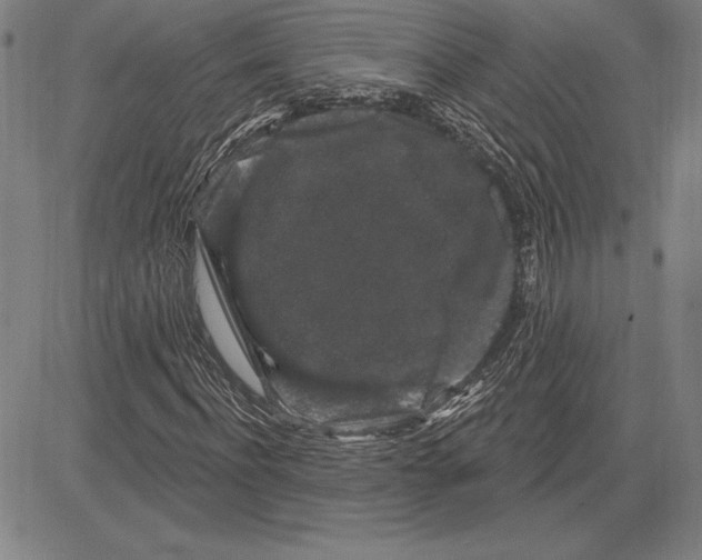 X0000081620916200702121636