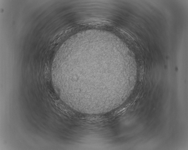 X0000081620917200702121636