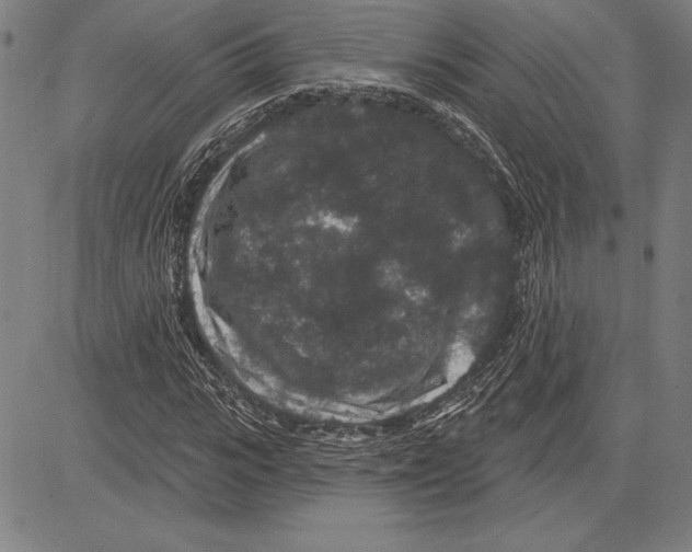 X0000081620919200702121636